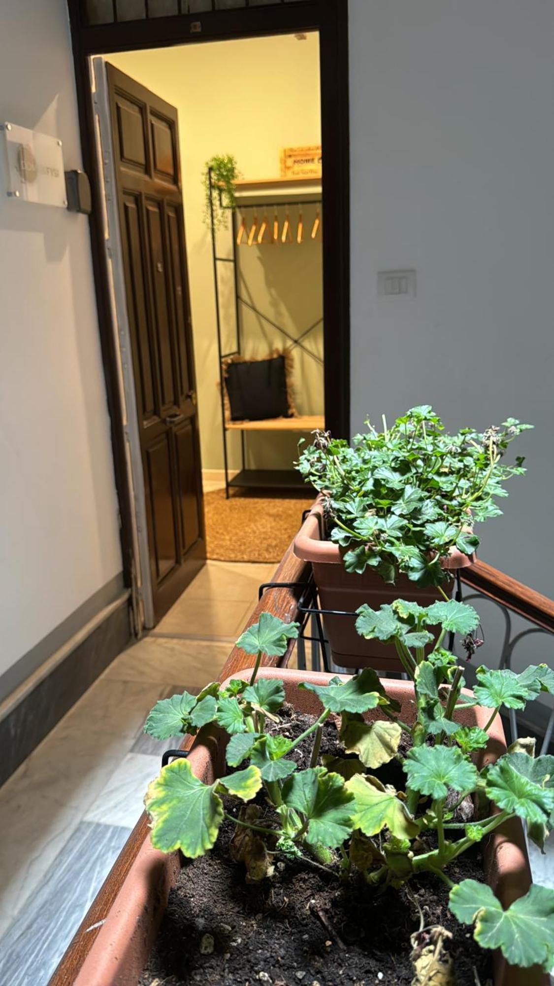 Domus Fysi Hotel Palermo Ngoại thất bức ảnh