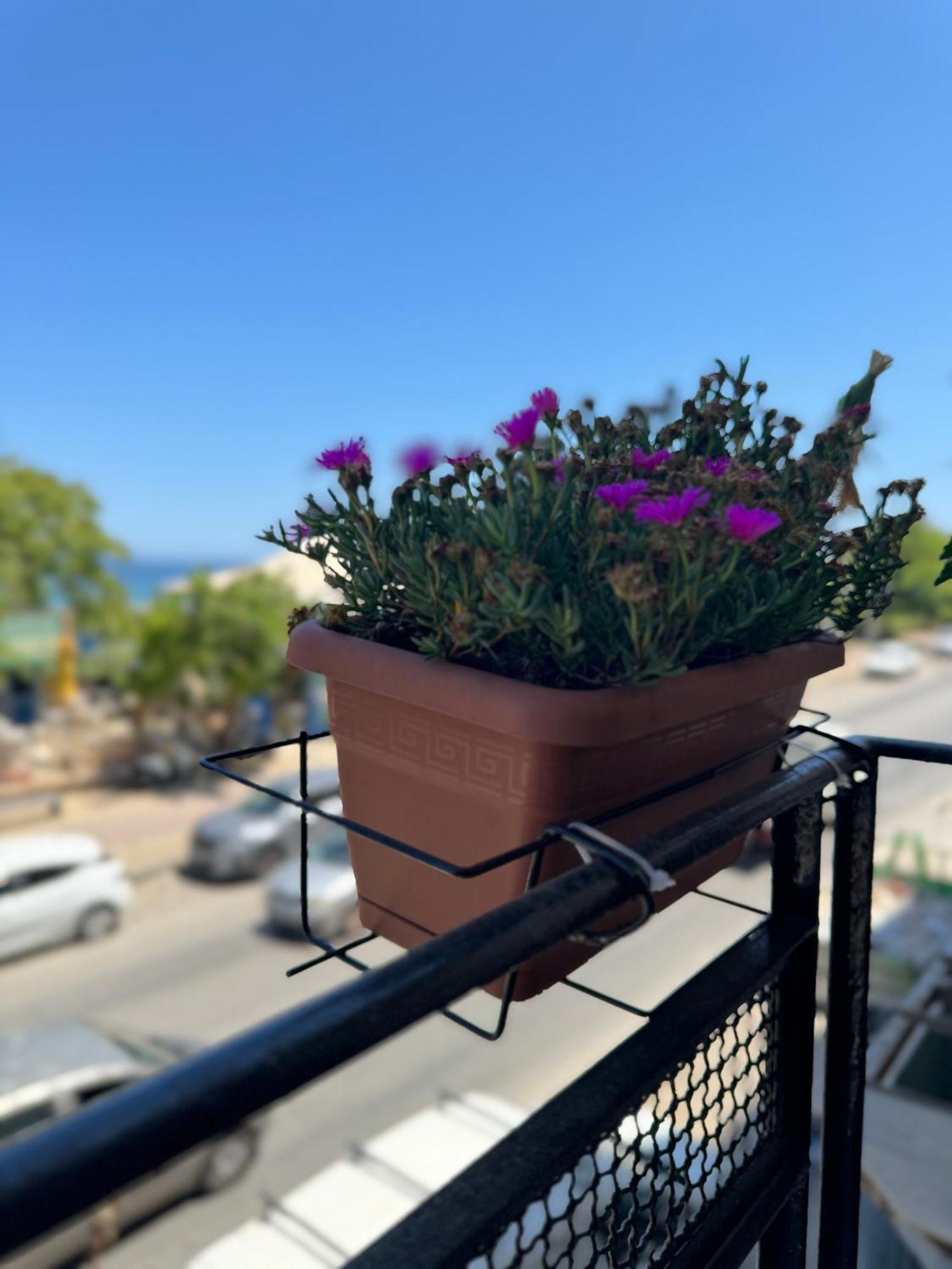Domus Fysi Hotel Palermo Ngoại thất bức ảnh